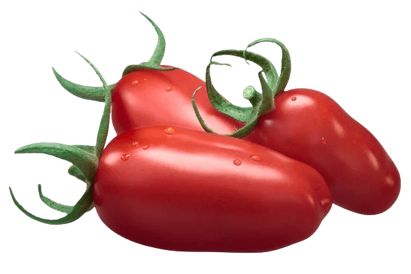 tomates San Marzano