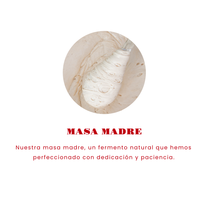 MASA MADRE