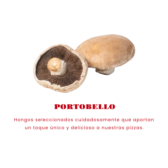 portyooo